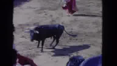 Los Angeles California USA (1962): Black Bull Charges Matadors Holding Pink Capes