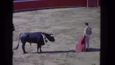 Los Angeles California USA (1962): The Cow Is Very Anger With Another Person's