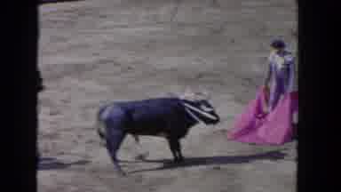 Los Angeles California USA (1962): A Tortured Animal In Disadvantageous