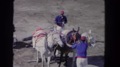 Los Angeles California USA (1962): Guy Fighting A Bull