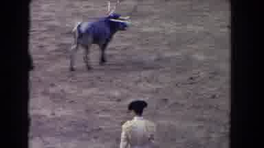 Los Angeles California USA (1962): Bleeding Bull Walks Around With Multiple Arrows