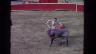Los Angeles California USA (1962): Bull That Has Been Stabbed Multiple Times Is