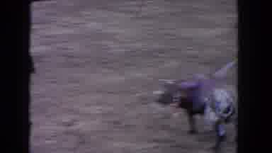 Los Angeles California USA (1962): Bullfighting Event With Men In Tight Outfits