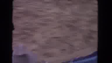 Los Angeles California USA (1962): Man In Fancy Pants And Hat Tortures Bull With