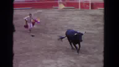 Los Angeles California USA (1962): Bull Escapes Matador But Can't Knock Cowboy Off