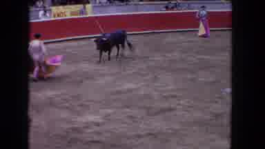 Los Angeles California USA (1962): Bull Chasing Matador As Matador Stabs Bull In