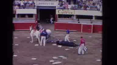 Los Angeles California USA (1962): Men Observe A Bull Fight And Rush To An Injured