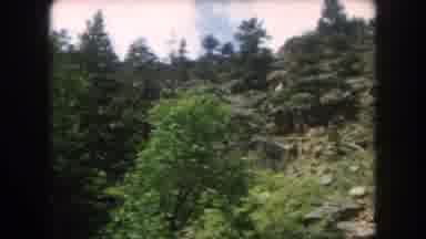 Summit County Colorado USA (1962): Horizontal Fly By Of A Forest