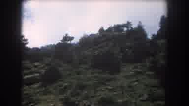 Summit County Colorado USA (1962): Watching Nature From Inside A Car