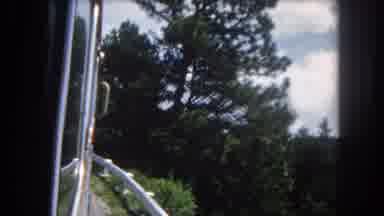 Summit County Colorado USA (1962): Panning Shot Of A Forest From The Side View Of