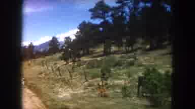 Summit County Colorado USA (1962): Driving Through The Countryside On A School Bus