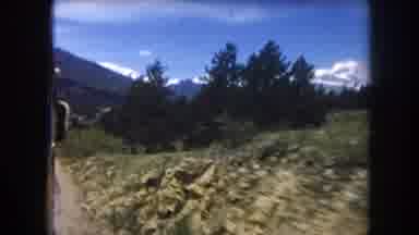 Summit County Colorado USA (1962): It Has A Lot Of Green Trees On The Street