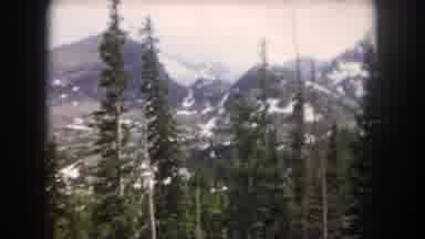 Summit County Colorado USA (1962): A Squirrel Is Running On The Pebbles Of The