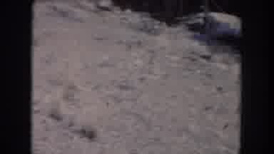 Summit County Colorado USA (1962): Green Pine Forest On Cold Slope Of White Snowy