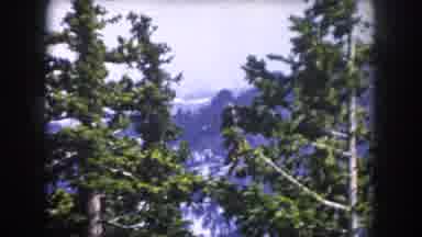 Summit County Colorado USA (1962): Person Near Trees And Mountain
