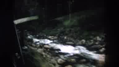 Summit County Colorado USA (1962): View Of The Rocky River By The Road Through The