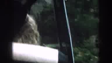 Summit County Colorado USA (1962): Nature Scenery On Car Ride