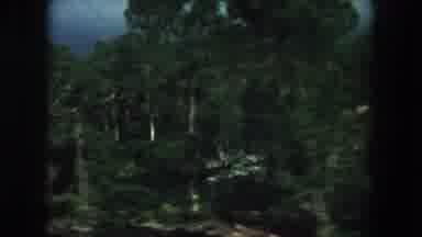 Summit County Colorado USA (1962): That Place Look Like Fully Trees And Plants