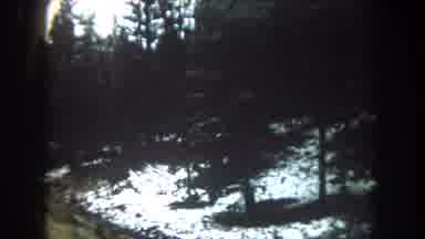 Summit County Colorado USA (1962): Trees Window Wiper Snow Windy