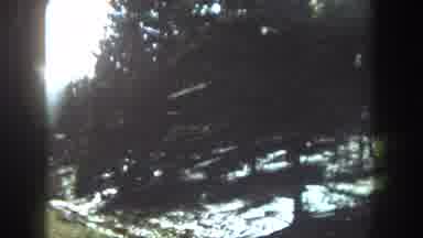 Summit County Colorado USA (1962): Car View Of Mountain Trees With Snow