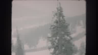 Summit County Colorado USA (1962): Winter Landscape Shows Some Trees And Hills