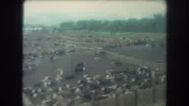 Winter Park Colorado USA (1962): The Aerial View Of A Cattle Farm Separated As