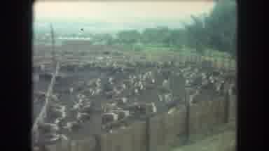 Winter Park Colorado USA (1962): While Passing Through Kentucky I Seen A Train