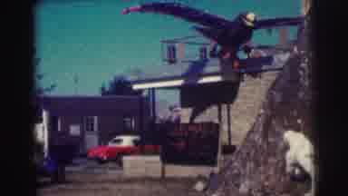 Bowling Green University USA (1963): Older Video Of Two Buildings One With An Bird