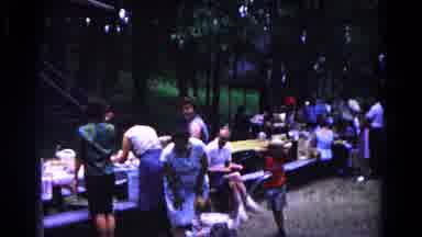 Cold Springs New York USA (1963): A Lot Of People In The Woods Sitting On The