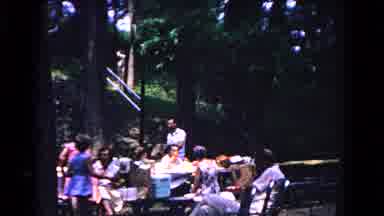 Cold Springs New York USA (1963): Man Carrying Object Through A Picnic Area