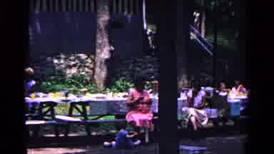 Cold Springs New York USA (1963): Group Of People Sitting At Picnic Tables Set Up