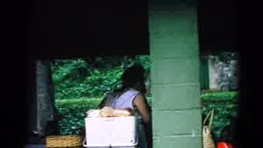 Cold Springs New York USA (1963): Woman Looking For Something In A Market But