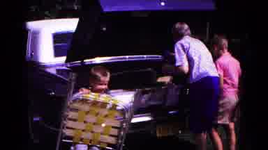 Cold Springs New York USA (1963): Family Unpacks Car's Trunk Of Picnic Gear In A