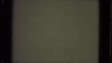 San Francisco California-1963: Animal Eyes Appearing In The Darkness With Body
