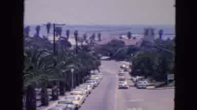 San Francisco California (1963): View Of Cars Parked By Palm Trees On A Sunny Day
