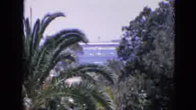 San Francisco California (1963): A View Of A Lake Surrounded By Lots Of Shrubs And