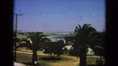 San Francisco California (1963): Shot Begins With Palm Trees With Fronds Waving