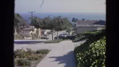 San Francisco California (1963): Lots Of Houses And Plants On The Side Of The