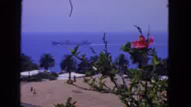 San Francisco California (1963): Ship Passing By Over The Ocean Where The Flower