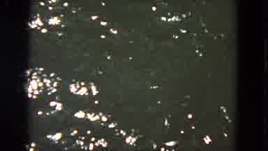 San Francisco California (1963): The Video Shows A Fish Jumping