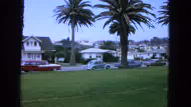 San Francisco California (1963): Palm Trees Sway On A Clear Sky Day In A Suburban