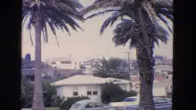 San Francisco California (1963): View Of White Houses And Palm Trees On A Clear