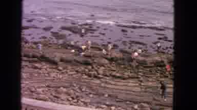San Francisco California (1963): A Group Of People Are On The Sea Shore Of Rocks