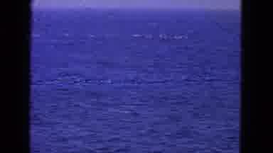 San Francisco California (1963): A Continual Look Of Random White Bubbles In The