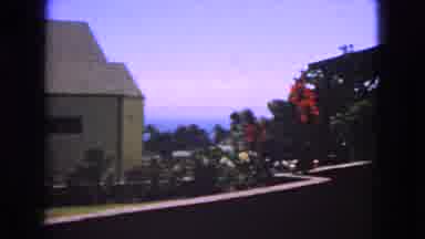 San Francisco California (1963): View Of Backyard Of House Of Flowers And Bright