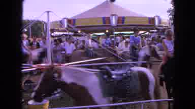 Walworth Wisconsin USA (1963): State Fair Horses Saddle Rides Adults Children Man