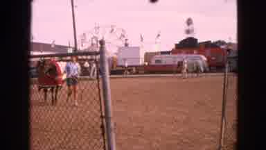 Walworth Wisconsin USA (1963): Woman Wearing White Shirt Walks With Horse Wearing