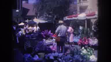 Disneyland California (1962): The Peoples Are In The Flower Market And One Man