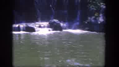 Disneyland California (1962): This Is The Nature Habitat Of The Elephants As We