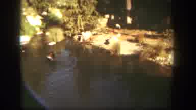Disneyland California (1962): People Are Doing Swimming In The Water Very Happily
